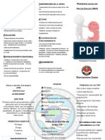 Folleto Primeros Auxilios Psicologicos