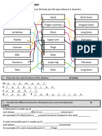 Skeletal System Worksheet