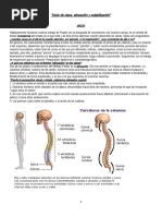 Inicio de Clase, Alineación y Estabilización