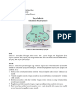 Tugas Mekanisme Kerja Sinaps