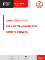 Actividad Control Prenatal Canvas