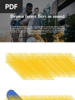 Drown Forest Fires in Sound