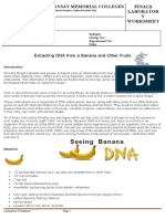 Extracting DNA From A Banana and Other Fruits: Ramon Magsaysay Memorial Colleges