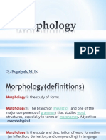 Presentation Morphology-1