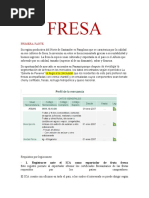 Fresa Primera