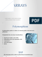 SNP Arrays (Illumina)