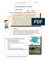 Contaminacion Ambiental