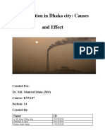 Air Pollution in Dhaka City: Causes and Effect