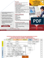 Triptico Contabilidad y Auditoría