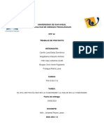 Rol Del Psicólogo en El Contexto Comunitario Salud