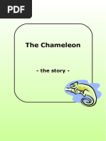 Cham Story 010106