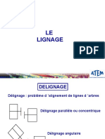 F - Lignage