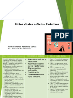 Cuadro Comparativo de Ciclo Vitales