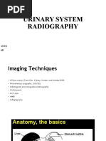 Urinary System Radiography