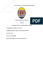 Ensayo Botiquín Primeros Auxilios Bayron Maldonado