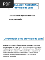 Leyes Provinciales - Salta