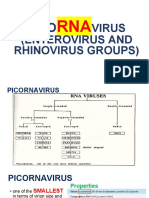 PI Virus (Enterovirus and Rhinovirus Groups)