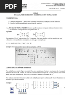 Guia 2 Multiplicacion de Matrices