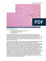 Morfopatologie