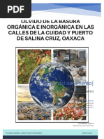 Actividado. Trabajo de Investigación Olvido de La Basura Orgánica e Inorgánica en Las Calles de La Cuidad y Puerto de Salina Cruz, Oaxaca