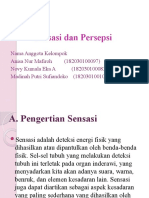 Sensasi Dan Persepsi