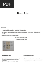 Knee Joint