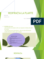 Respiratia La Plante CLS.a VI-a