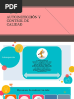 DIAPOSITIVA - Autoinspección y Control de Calidad - Auditoría de La Calidad Personal