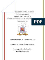 Informe Practica Profesional Ii