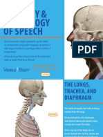 Anatomy & Physiology of Speech