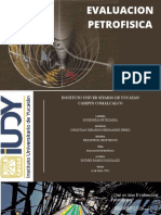 Evaluacion Petrofisica