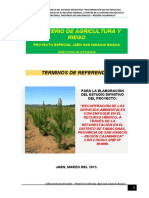 TDR para Estudio Definitivo Del Pip Tabaconas - 2015 Okey 1