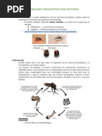 Dengue, Chikungunña, Zika