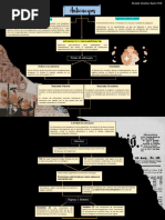 Mapa Conceptual Anticuerpos