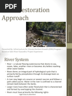 River Restoration Experience