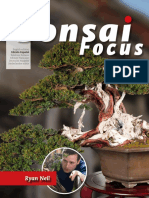 Bonsai Focus 37