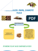 Tuverculos Papa Camote y Yuca