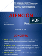 Seminario de Atencion Psicopatología