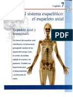 Cap 7.el Sistema Esquelético-El Esqueleto Axial