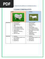 Cuadro Comparativo de Ovino y Caprino