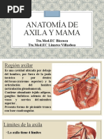 Anatomia Axila y Mama