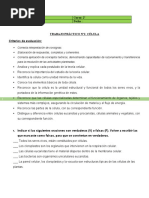 Trabajo Práctico Celula