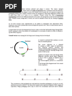 Cosmid Fosmid and Shuttle Vectors