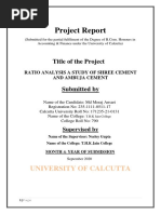 Project Report: Title of The Project