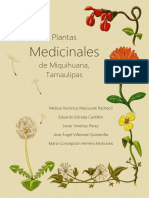 PLANTASMEDICINALESMIQUIHUANATAMAULIPAS7 Noviembre 2013