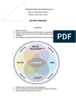 Estudo Dirigido Cariologia