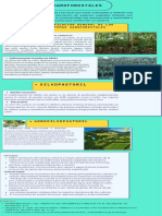 Los Sistemas Agroforestales: Silvopastoril