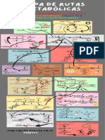 Mapa de Rutas Metabólicas, Bioquímica Metabólica