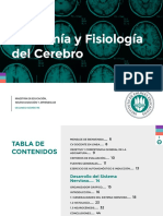 Anatomía y Fisiología Del Cerebro