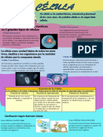 Infografía